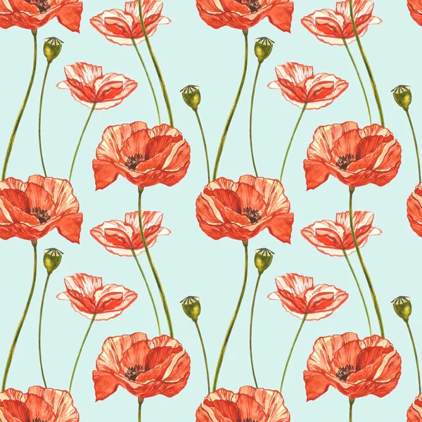 Aquarell roter Mohn. nahtlose Muster. Wildblume vereinzelt auf weiß gesetzt. botanische Aquarell-Illustration, roter Mohnstrauß, rustikale Mohnblumen. — Stockfoto