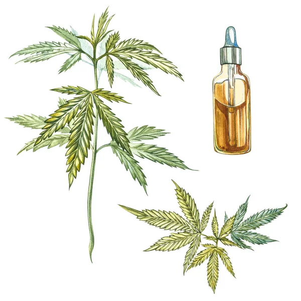 CBD oil hemp products. Watercolor illustration on white background. — Stockfoto
