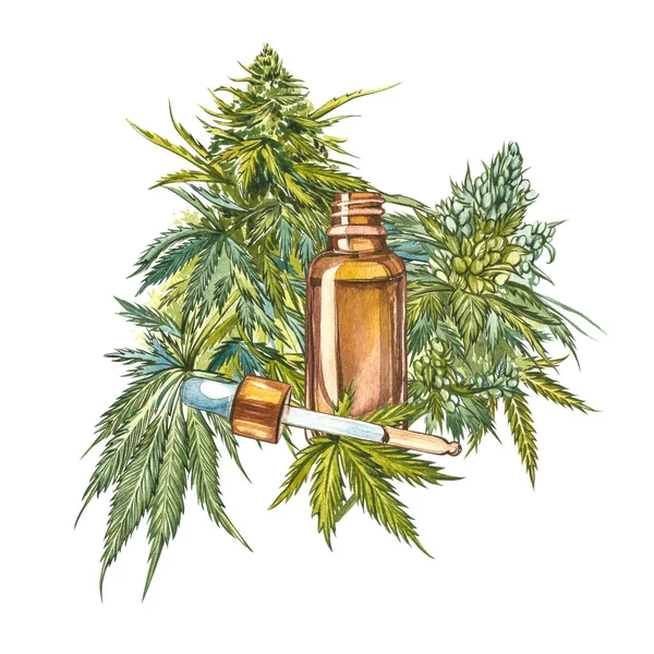 CBD produtos de cânhamo óleo. Ilustração aquarela sobre fundo branco . — Fotografia de Stock