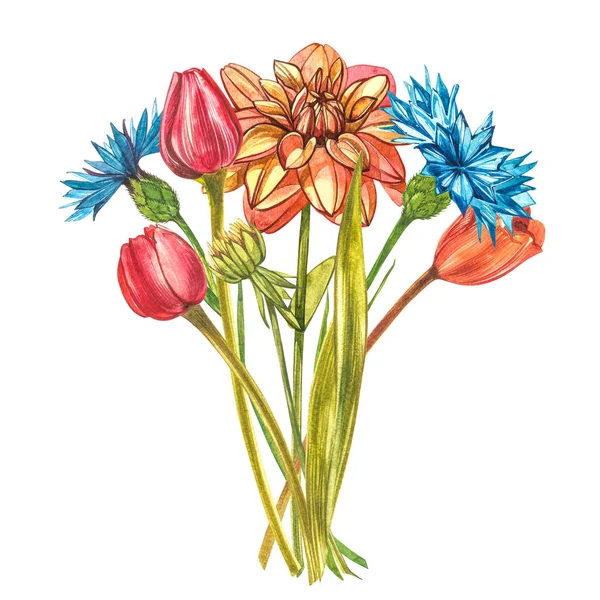 Watercolor Tulips. Wild flower set isolated on white. Botanical watercolor illustration, orange tulips bouquet, rustic flowers. — Stock Photo, Image