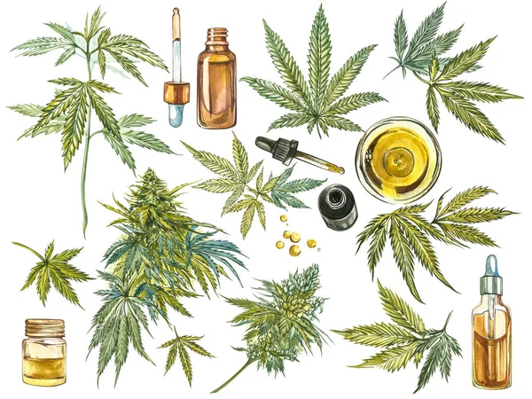 Productos de cáñamo aceite de CBD. Ilustración de acuarela sobre fondo blanco . — Foto de Stock