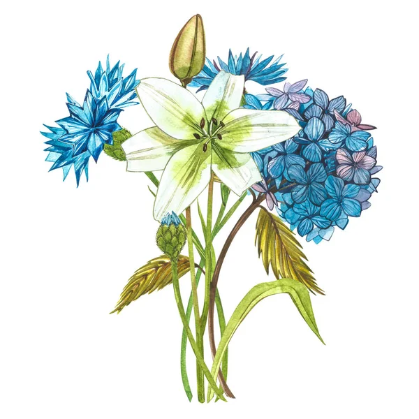 Aquarell hidrungea. Wildblume vereinzelt auf weiß gesetzt. botanische Aquarell-Illustration, Hidrungea-Strauß, rustikale Blumen. — Stockfoto
