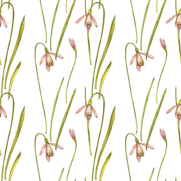 Σταγόνες νερομπογιάς. Απρόσκοπτη συμπεριφορά. Άγρια λουλούδια που απομονώνονται στο λευκό. Βοτανικός ακουαρέλα εικονογράφηση, χιόνι σταγόνες μπουκέτο, ρουστίκ λουλούδια. — Φωτογραφία Αρχείου