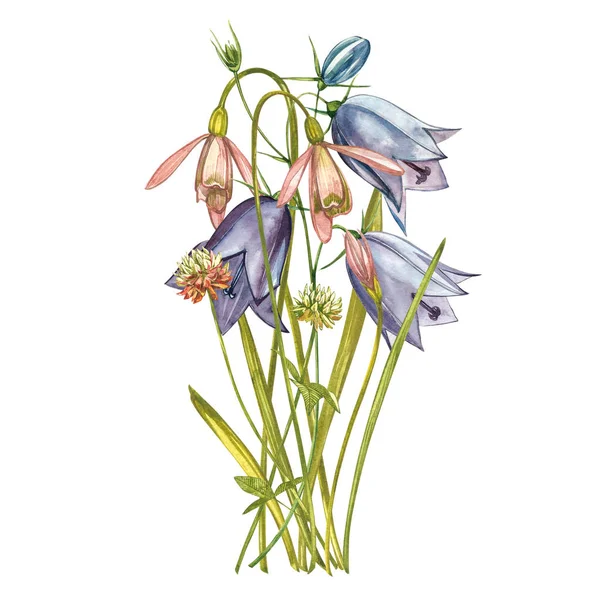 Watercolor snowdrops flowers. Wild flower set isolated on white. Botanical watercolor illustration, snowdrops bouquet, rustic flowers. — Stock Photo, Image