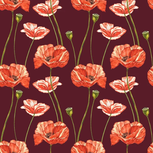 Akvarellröda vallmo. Sömlösa mönster. Vild blomma som isolerad på vitt. Botanisk akvarell illustration, röda vallmo bukett, rustika vallmo blommor. — Stockfoto