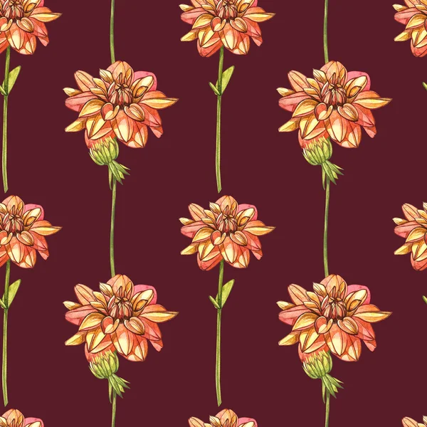 Dahlias arancione acquerello. Modelli senza soluzione di continuità. Fiore selvatico insieme isolato su bianco. Illustrazione botanica ad acquerello, bouquet di dalie arancioni, fiori di dalie rustici . — Foto Stock