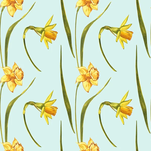 Υδατογραφία Νάρκισσος. Άγρια λουλούδια που απομονώνονται στο λευκό. Βοτανική ακουαρέλα, κίτρινη νάρκισσος μπουκέτο, ρουστίκ λουλούδια. Εικονογράφηση ακουαρέλας σε λευκό φόντο. Σύνολο σχεδίου floral — Φωτογραφία Αρχείου