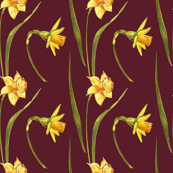 Akvarell Narcissus. Vild blomma som isolerad på vitt. Botanisk akvarell illustration, gul narcissus bukett, rustika blommor. Akvarell illustration på vit bakgrund. Uppsättning av ritning blommor — Stockfoto