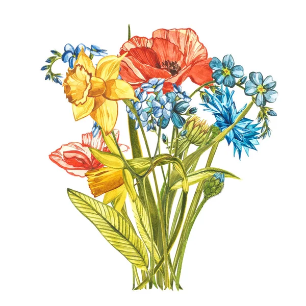 Watercolor bouquet Forget-me-not flowers, Poppy and Narcissus. Wild flower set isolated on white. Botanical watercolor illustration, rustic flowers. Good for cosmetics, medicine, treating — 스톡 사진