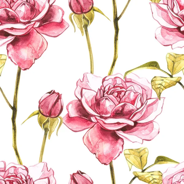 Acquerello rosa rose selvatiche. Fiore selvatico insieme isolato su bianco. Illustrazione acquerello botanico, bouquet di rose, fiori rustici. Modelli senza cuciture . — Foto Stock
