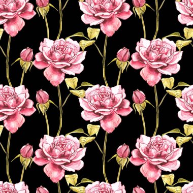 Watercolor pink wild roses. Wild flower set isolated on white. Botanical watercolor illustration, roses bouquet, rustic flowers. Seamless patterns.