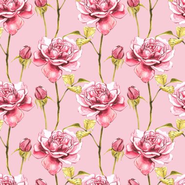 Watercolor pink wild roses. Wild flower set isolated on white. Botanical watercolor illustration, roses bouquet, rustic flowers. Seamless patterns.