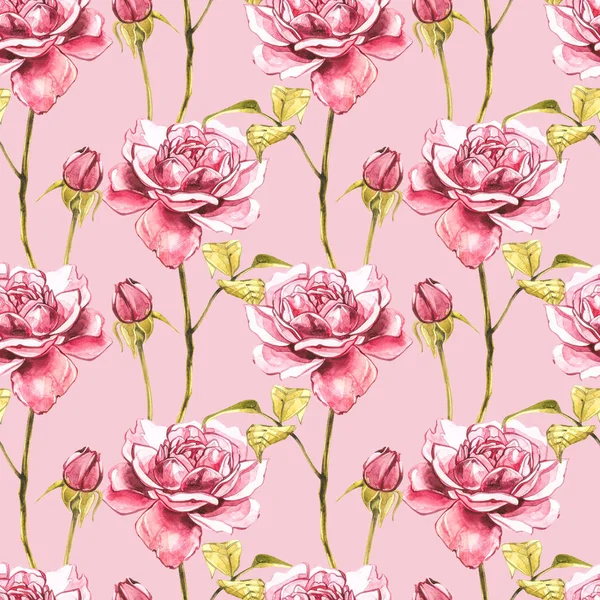 Watercolor pink wild roses. Wild flower set isolated on white. Botanical watercolor illustration, roses bouquet, rustic flowers. Seamless patterns. — Stock Photo, Image