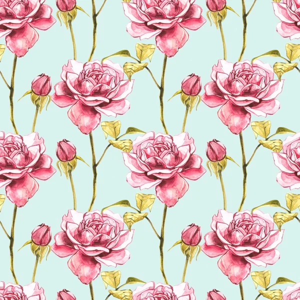 Akvarel pink vilde roser. Wild blomst sæt isoleret på hvid. Botanisk akvarel illustration, roser buket, rustikke blomster. Sømløse mønstre . - Stock-foto