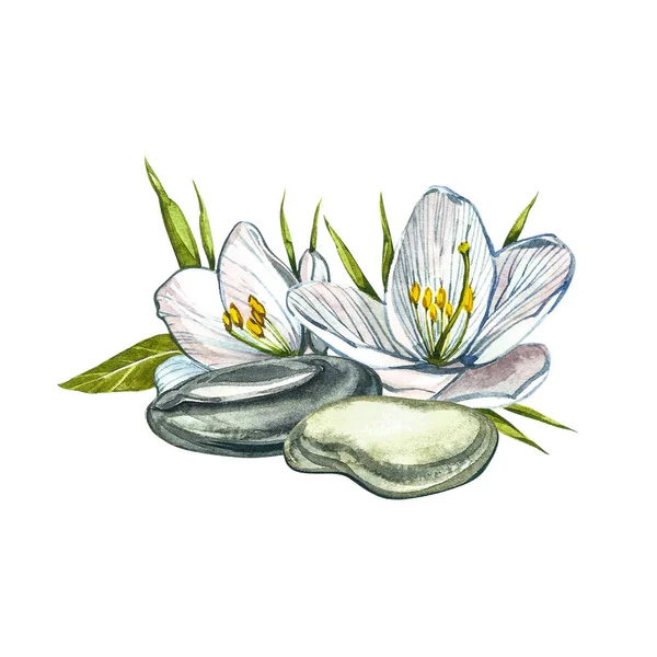 白い花と温泉石。スパのコンセプト。水彩イラスト。隔離された白い背景に植物画。ウェブページの結婚式の招待状、グリーティングカードの背景として使用できます — ストック写真
