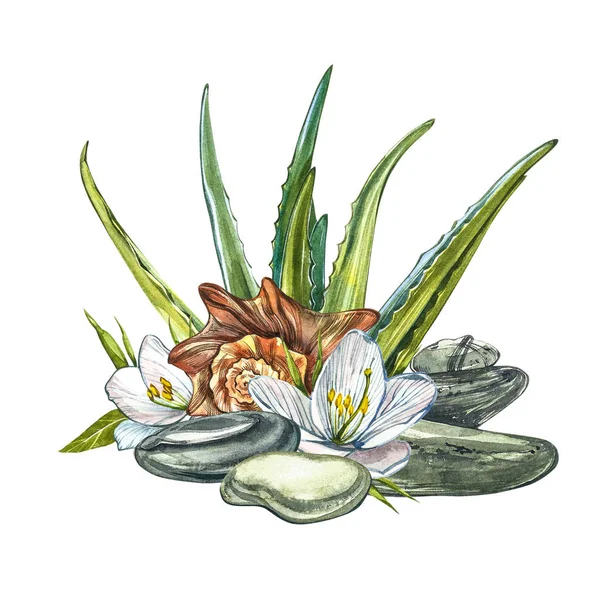 Flores blancas, conchas, aloe vera y piedras de spa. Concepto SPA. Ilustraciones en acuarela. Pintura botánica sobre fondo blanco aislado. Se puede utilizar como fondo para invitaciones de boda de páginas web — Foto de Stock