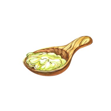 Ahşap kaşıkta aloe jeli yeşil aloe vera yaprağı. Suluboya agave, aloe vera, sulu, yeşil bitki. Aloe Vera 'nın botanik suluboya çizimi