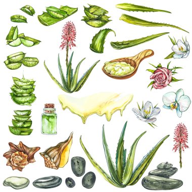 Suluboya SPA Clipart - Beyaz arka planda izole edilmiş SPA ve Güzellik ürünleri ve elementleri koleksiyonu. Suluboya çizimleri.