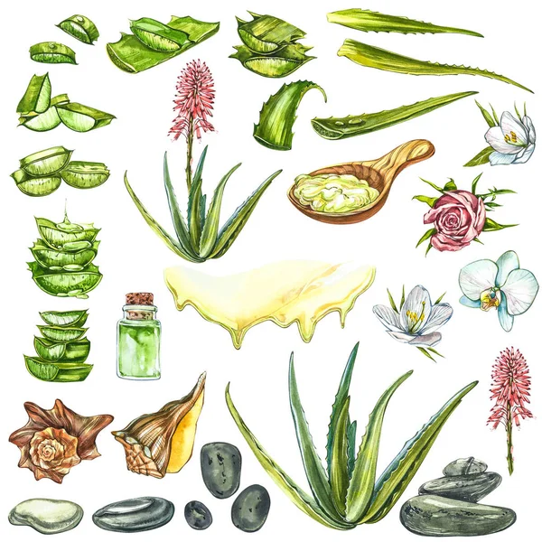 Aquarelle SPA Clipart - Collection de produits et éléments SPA et Beauté, isolés sur fond blanc. Illustrations aquarelle . — Photo