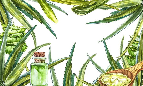 Zelený list aloe vera s aloe gelem v dřevěné lžíci. Akvarel agave, aloe vera, šťavnatá, zelená rostlina. Botanická akvarel ilustrace Aloe Vera — Stock fotografie