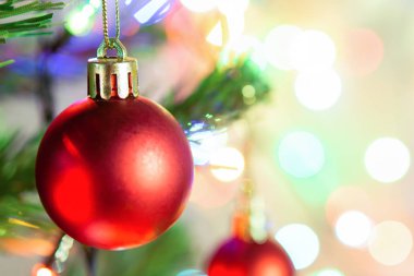 Noel süsü. Çam dallarına kırmızı toplar asmak Noel 'de