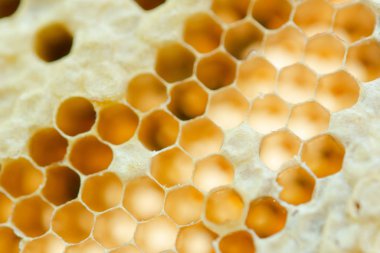 Bal peteğinin makrosu, Arkaplan altıgen dokusu