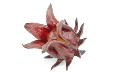Roselle, Jamaikalı Sorelor ya da Hibiscus Sabdariffa