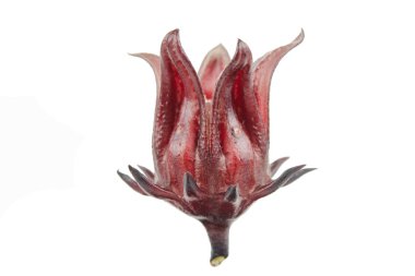 Roselle, Jamaikalı Sorelor ya da Hibiscus Sabdariffa