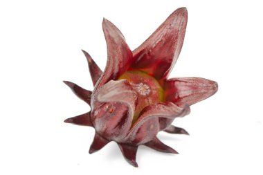 Roselle, Jamaikalı Sorelor ya da Hibiscus Sabdariffa