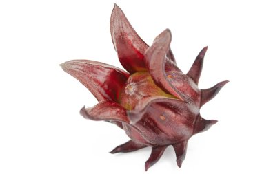 Roselle, Jamaikalı Sorelor ya da Hibiscus Sabdariffa