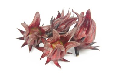 Roselle, Jamaikalı Sorelor ya da Hibiscus Sabdariffa