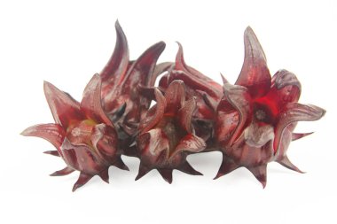 Roselle, Jamaikalı Sorelor ya da Hibiscus Sabdariffa