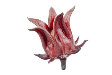 Roselle, Jamaikalı Sorelor ya da Hibiscus Sabdariffa