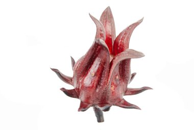 Roselle, Jamaikalı Sorelor ya da Hibiscus Sabdariffa