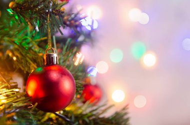 Noel süsü. Çam dallarına kırmızı toplar asmak Noel 'de