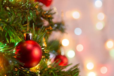 Noel süsü. Çam dallarına kırmızı toplar asmak Noel 'de