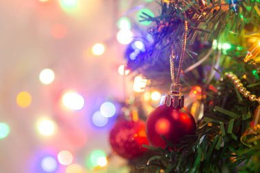 Noel süsü. Çam dallarına kırmızı toplar asmak Noel 'de