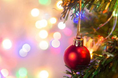 Noel süsü. Çam dallarına kırmızı toplar asmak Noel 'de