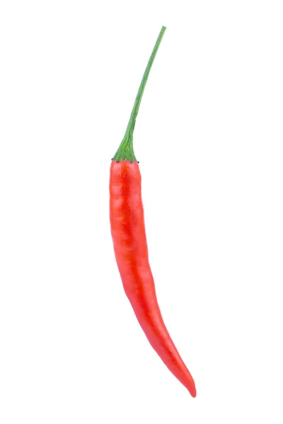 Red chili or chilli pepper isolated on a white background. with — 스톡 사진