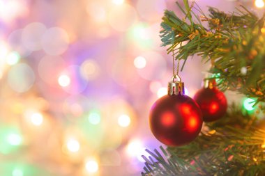 Noel süsü. Çam dallarına kırmızı toplar asmak Noel 'de