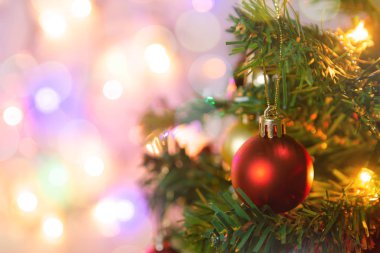 Noel süsü. Çam dallarına kırmızı toplar asmak Noel 'de