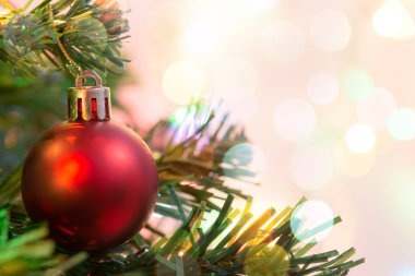 Noel süsü. Çam dallarına kırmızı toplar asmak Noel 'de