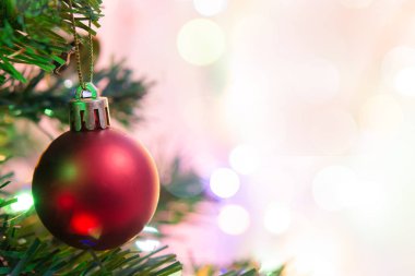 Noel süsü. Çam dallarına kırmızı toplar asmak Noel 'de