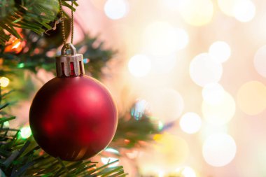 Noel süsü. Çam dallarına kırmızı toplar asmak Noel 'de