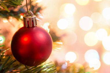 Noel süsü. Çam dallarına kırmızı toplar asmak Noel 'de