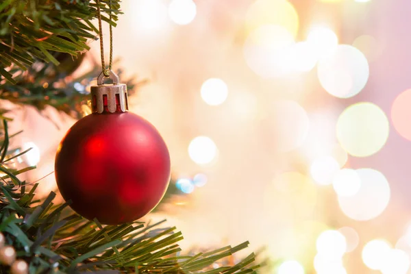 Noel süsü. Çam dallarına kırmızı toplar asmak Noel 'de