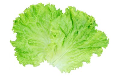 Salata yaprağı. Marul p kırpma ile beyaz arka plan üzerinde izole