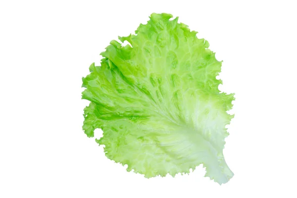 Салатний лист. Листя салату ізольовані на білому тлі з відсічним п — стокове фото