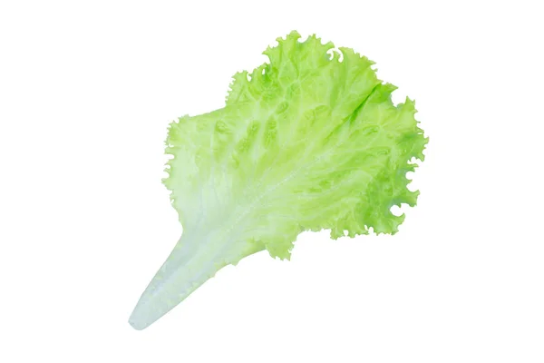 Foglia d'insalata. Lattuga isolata su fondo bianco con clipping — Foto Stock