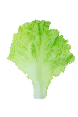 Salata yaprağı. Marul p kırpma ile beyaz arka plan üzerinde izole